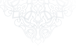 shape1 1